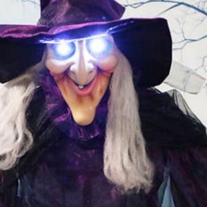 Halloween animatronic  Witch
